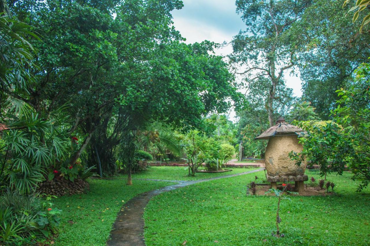 Randiyaepiliyagoda Resort Ависсавелла Экстерьер фото