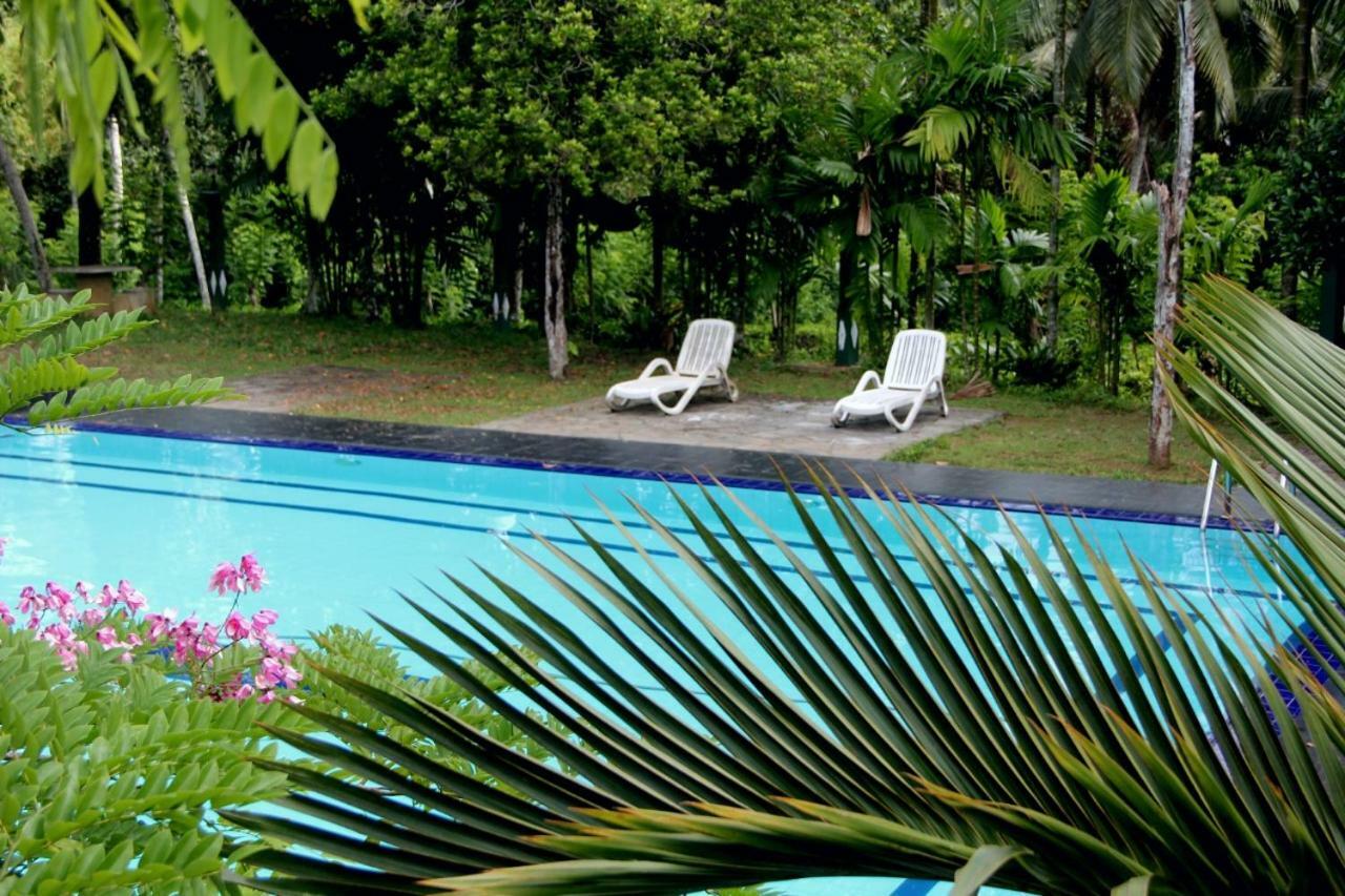 Randiyaepiliyagoda Resort Ависсавелла Экстерьер фото